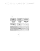 DIRECTIONAL LOCATION SYSTEM FOR A PORTABLE ELECTRONIC DEVICE diagram and image