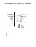 INTEGRATED CIRCUIT FOR SPECTRAL IMAGING SYSTEM diagram and image