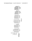 CANCER MODELS AND ASSOCIATED METHODS diagram and image