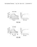 CANCER MODELS AND ASSOCIATED METHODS diagram and image