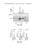 CANCER MODELS AND ASSOCIATED METHODS diagram and image