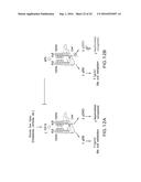 CANCER MODELS AND ASSOCIATED METHODS diagram and image