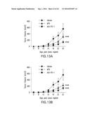 CANCER MODELS AND ASSOCIATED METHODS diagram and image