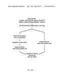 SYSTEM AND METHOD FOR HIGH THROUGHPUT MASS SPECTROMETRIC ANALYSIS OF     PROTEOME SAMPLES diagram and image