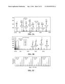 QUATERNARY AMINE CONTAINING ISOBARIC TAG FOR QUANTITATIVE GLYCAN PROFILING diagram and image