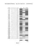 QUATERNARY AMINE CONTAINING ISOBARIC TAG FOR QUANTITATIVE GLYCAN PROFILING diagram and image