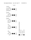 METHOD FOR DETERMINING HIGH-MANNOSE GLYCANS diagram and image