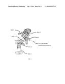 SYSTEM AND METHOD FOR PROCESSING OF BIOLOGICAL TISSUE SAMPLES diagram and image