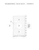 Polarization Maintaining Single-Mode Low-Loss Hollow-Core Fiber diagram and image