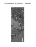 METHODS AND APPARATUS FOR ADAPTIVE MULTISENSOR ANALISIS AND AGGREGATION diagram and image