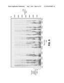 SYSTEMS AND METHODS FOR SPEECH RESTORATION diagram and image