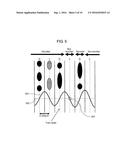 RECORDING AND REPRODUCING APPARATUS diagram and image