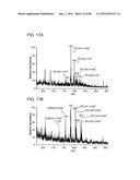 MASS SPECTROMETRY ANALYSIS OF MICROORGANISMS IN SAMPLES diagram and image