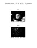 COMPOSITE SILICON OR COMPOSITE TIN PARTICLES diagram and image