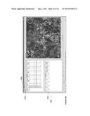 Wideband Beamformer System diagram and image