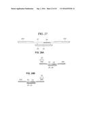 TERMINAL CASE, MOBILE TERMINAL, AND MOBILE TERMINAL ASSEMBLY INCLUDING THE     TERMINAL CASE AND THE MOBILE TERMINAL diagram and image