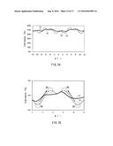 STEREOSCOPIC DISPLAY DEVICE diagram and image