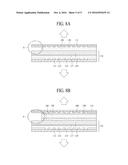 THIN FILM TRANSISTOR ARRAY STRUCTURE diagram and image