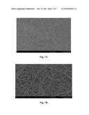 ELECTROSPUN PTFE ENCAPSULATED STENT AND METHOD OF MANUFACTURE diagram and image