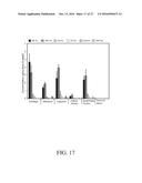 SURFACE BINDING OF NANOPARTICLE BASED DRUG DELIVERY TO TISSUE diagram and image