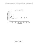 SURFACE BINDING OF NANOPARTICLE BASED DRUG DELIVERY TO TISSUE diagram and image