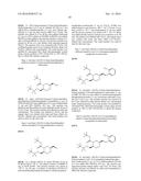 HIV PROTEASE INHIBITORS diagram and image