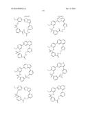 MACROCYCLIC COMPOUNDS AS PROTEIN KINASE INHIBITORS diagram and image