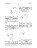 MACROCYCLIC COMPOUNDS AS PROTEIN KINASE INHIBITORS diagram and image