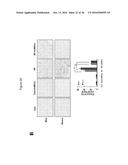 METHOD FOR TREATING PANCREATITIS WITH MESENCHYMAL STEM CELLS diagram and image