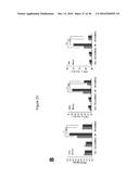 METHOD FOR TREATING PANCREATITIS WITH MESENCHYMAL STEM CELLS diagram and image