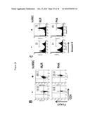 METHOD FOR TREATING PANCREATITIS WITH MESENCHYMAL STEM CELLS diagram and image