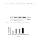 EXTRACTS OF ROSEMARY OR HEMEROCALLIS FULVA  AND METHODS OF USING SAME TO     PROMOTE CIRCADIAN RHYTHM diagram and image