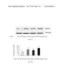 EXTRACTS OF ROSEMARY OR HEMEROCALLIS FULVA  AND METHODS OF USING SAME TO     PROMOTE CIRCADIAN RHYTHM diagram and image