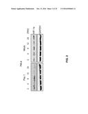 Peptide Having Angiogenesis Inhibitory Activity and Composition Containing     Same diagram and image