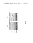 Peptide Having Angiogenesis Inhibitory Activity and Composition Containing     Same diagram and image