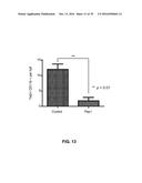 Peptide Having Angiogenesis Inhibitory Activity and Composition Containing     Same diagram and image