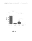 Peptide Having Angiogenesis Inhibitory Activity and Composition Containing     Same diagram and image