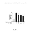 Peptide Having Angiogenesis Inhibitory Activity and Composition Containing     Same diagram and image