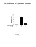 Peptide Having Angiogenesis Inhibitory Activity and Composition Containing     Same diagram and image