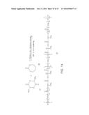 ENDOPROSTHESES diagram and image