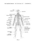 IPG CONFIGURED TO DELIVER DIFFERENT PULSE REGIMES TO DIFFERENT LEADS FOR     PUDENDAL NERVE STIMULATION diagram and image