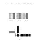 COEXTRUDED, MULTILAYER AND MULTICOMPONENT 3D PRINTING INPUTS FIELD diagram and image