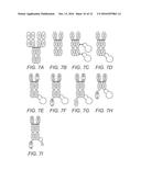 EPHA3 AND MULTI-VALENT TARGETING OF TUMORS diagram and image