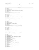 EPHA3 AND MULTI-VALENT TARGETING OF TUMORS diagram and image