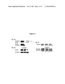 METHOD FOR INHIBITING CELLULAR ACTIVATION BY INSULIN-LIKE GROWTH FACTOR-1 diagram and image