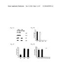 Secreted aP2 and Methods of Inhibiting Same diagram and image