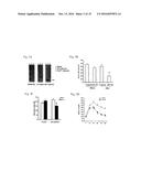 Secreted aP2 and Methods of Inhibiting Same diagram and image