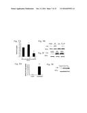 Secreted aP2 and Methods of Inhibiting Same diagram and image