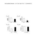 Secreted aP2 and Methods of Inhibiting Same diagram and image