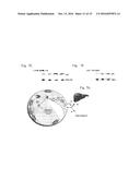 Secreted aP2 and Methods of Inhibiting Same diagram and image